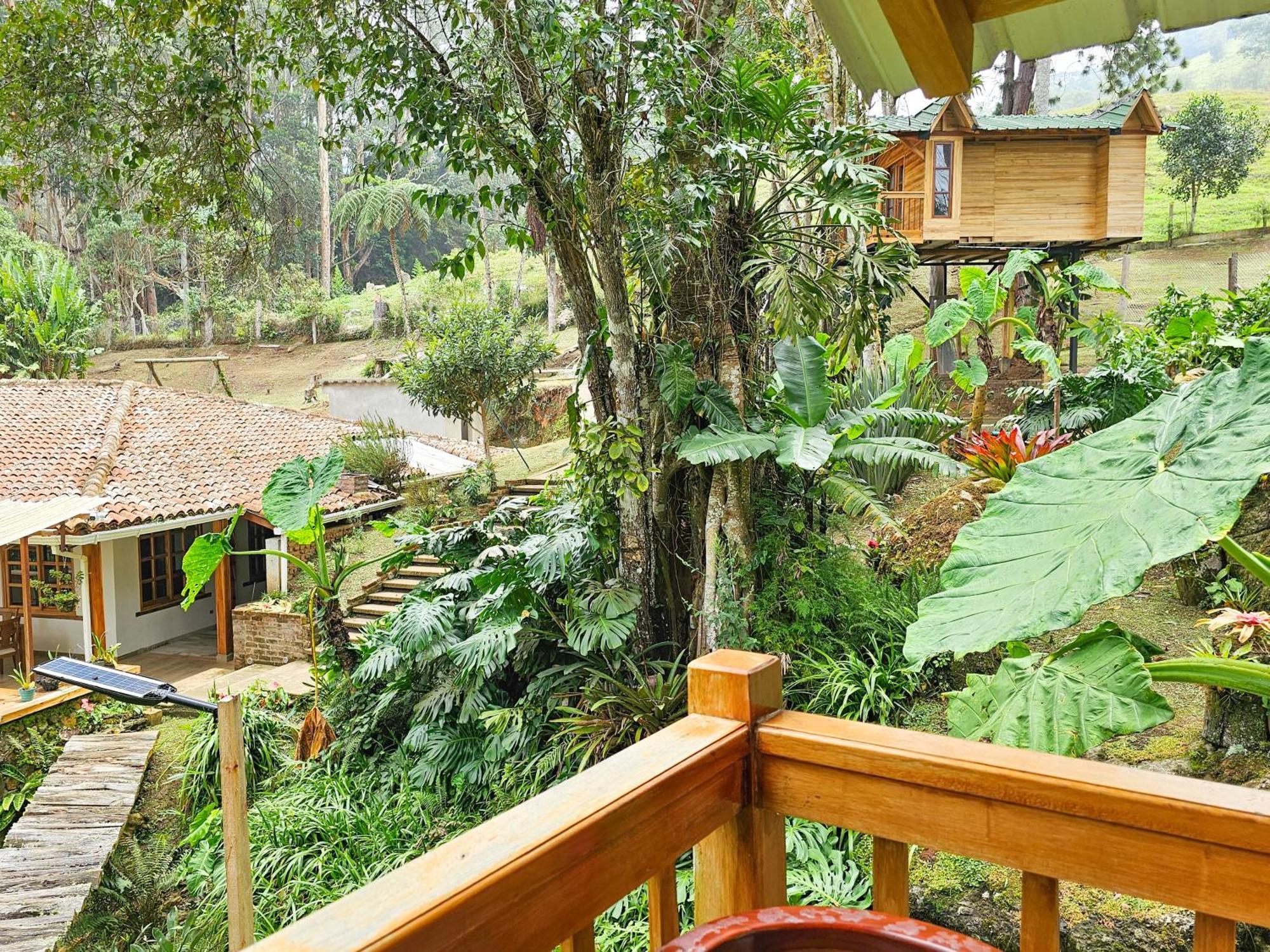Cattaleya Eco Hotel Yumbo Exterior photo