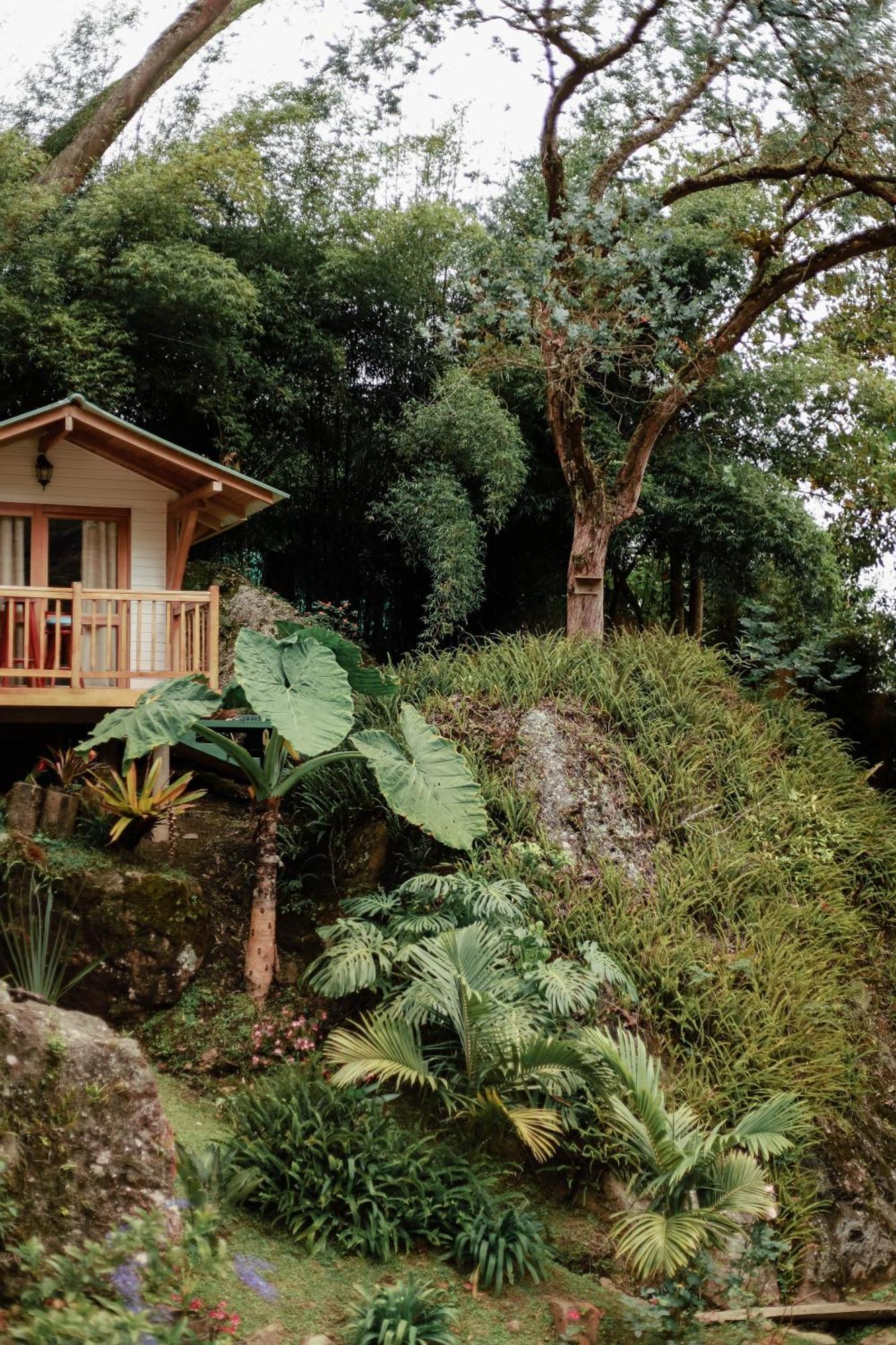 Cattaleya Eco Hotel Yumbo Exterior photo